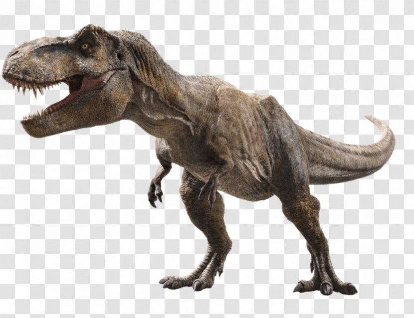 Universal Pictures Tyrannosaurus Jurassic Park Film Post-credits Scene - Postcredits Transparent PNG
