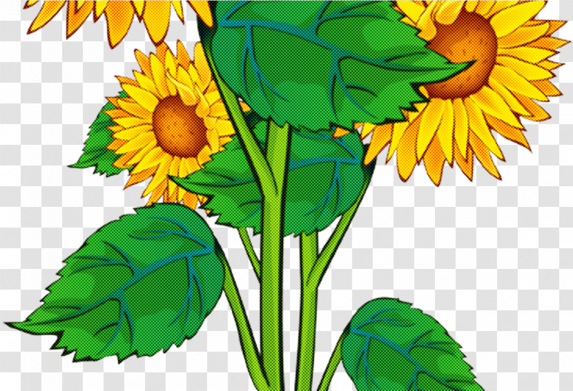 Floral Design Transparent PNG