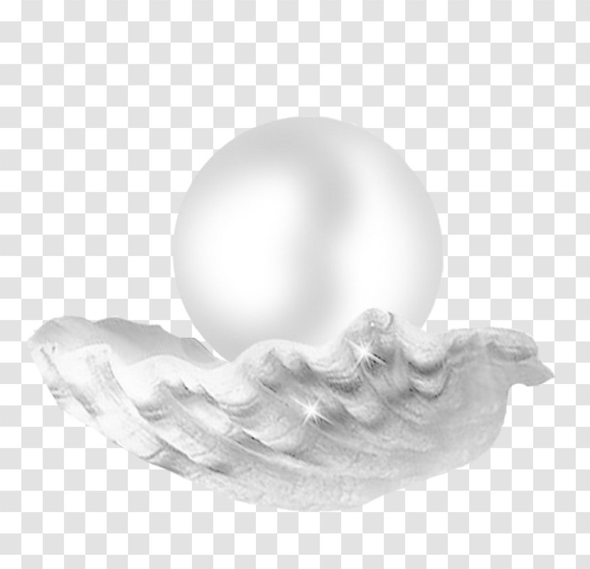 Pearl Seashell Designer Jewellery - Monochrome - Silver Noble Transparent PNG