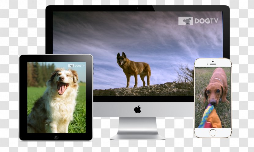 Dog TV Television Father's Day - Computer Monitor Transparent PNG