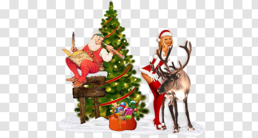 Christmas Ornament Santa Claus Mrs. Reindeer - Mother - Noel Baba Resimleri Transparent PNG