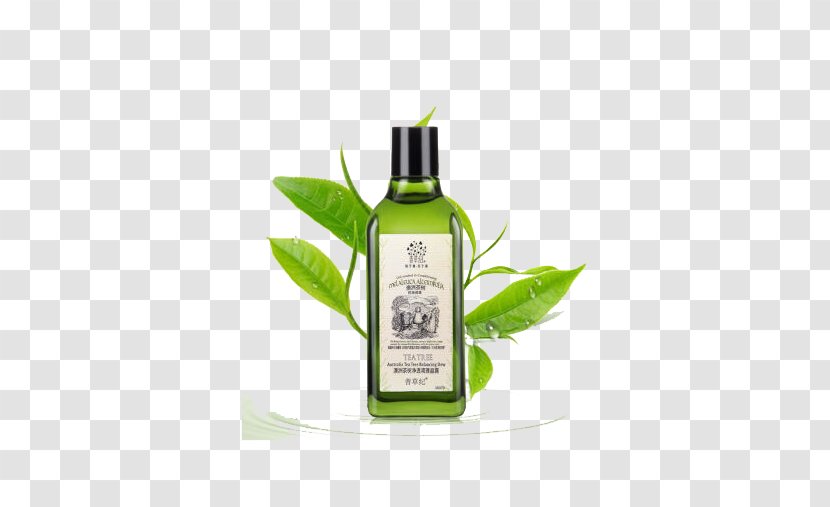 Tea Tree Oil Acne Taobao Shopping - TEA Toner Transparent PNG