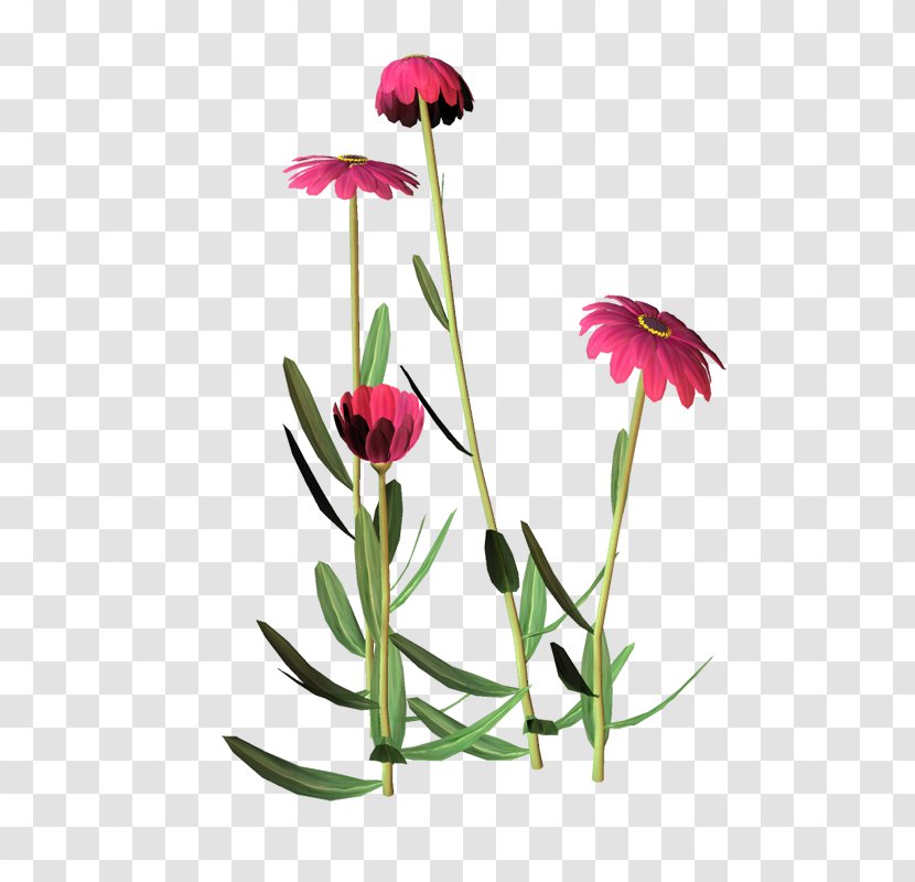 Cut Flowers Tulip Clip Art - Flora - Floral Pattern Background Material Transparent PNG
