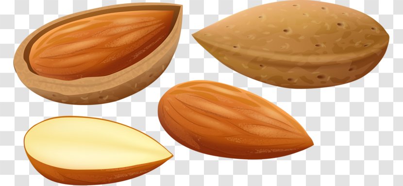 Nut Apricot Kernel Cartoon - Ingredient - Delicious Almond Transparent PNG