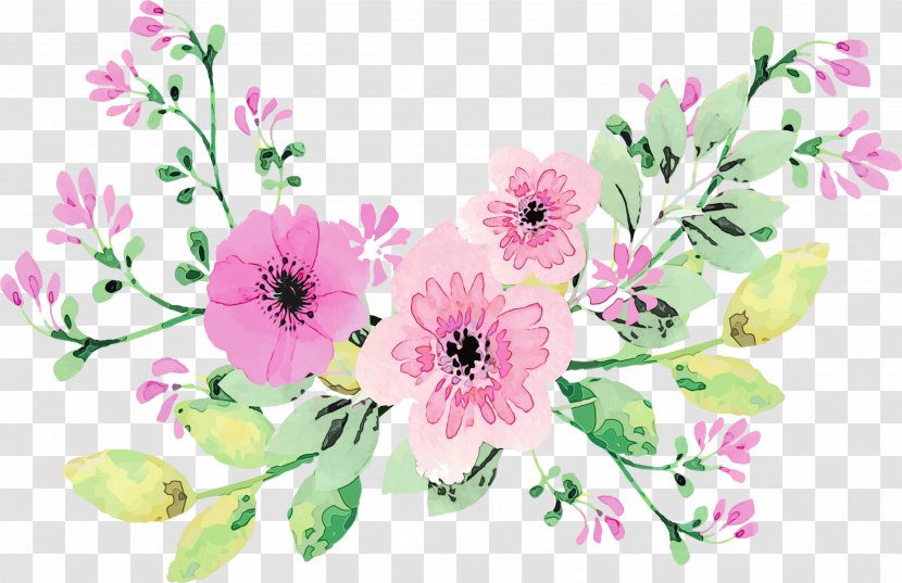 Bouquet Of Flowers Drawing - Anemone Transparent PNG