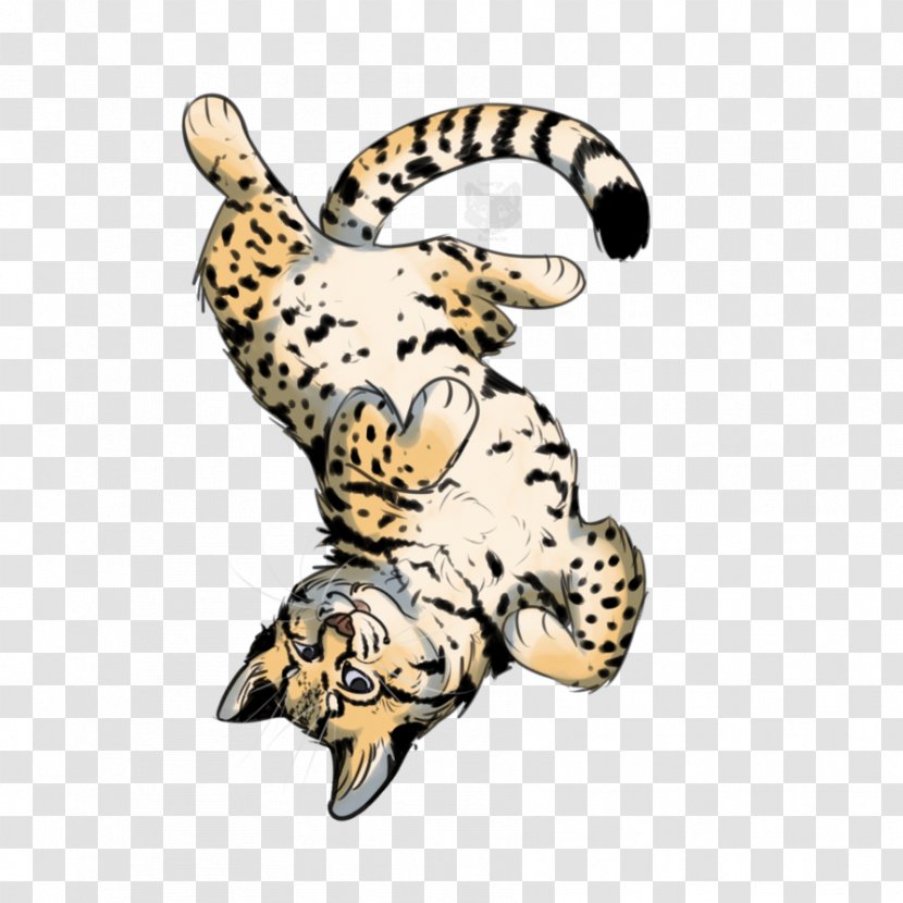 Leopard Cat Cheetah Jaguar Dog - Like Mammal Transparent PNG
