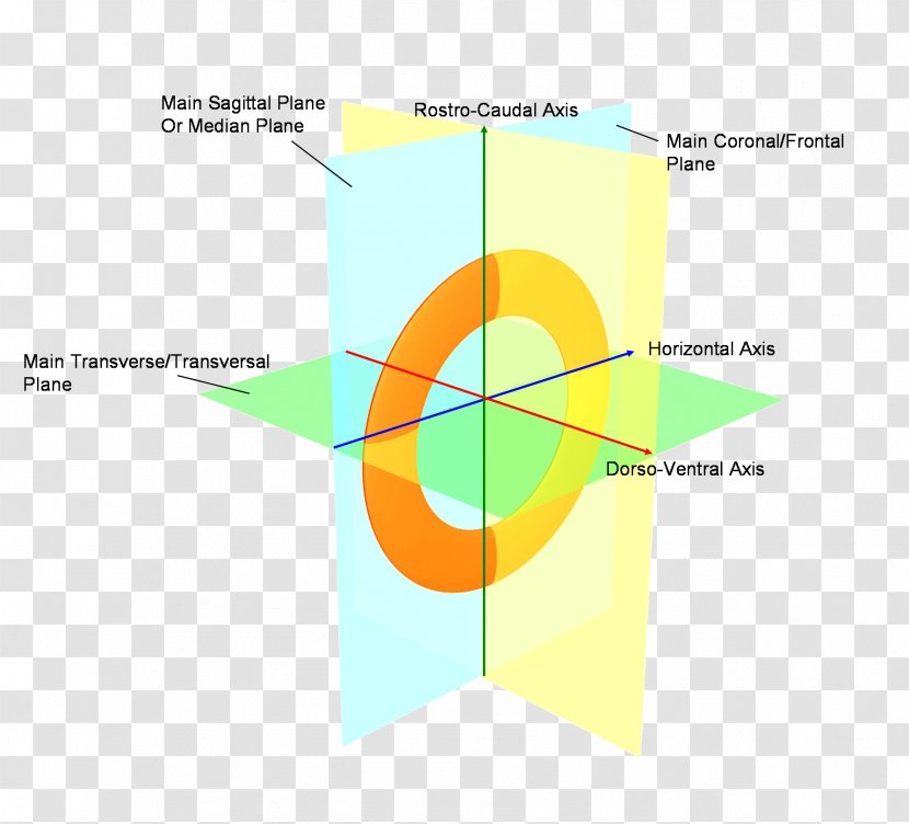 Diagram Line Angle - Symmetry Transparent PNG