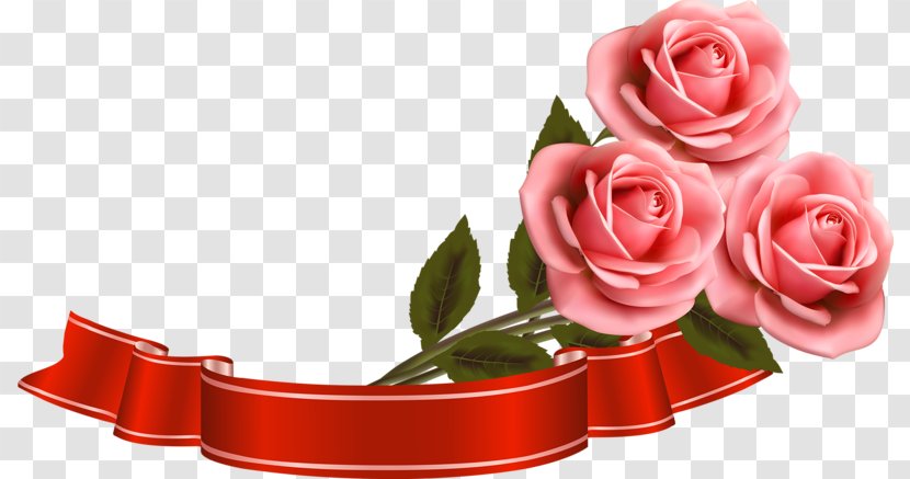 Valentine's Day Love - Flowering Plant Transparent PNG