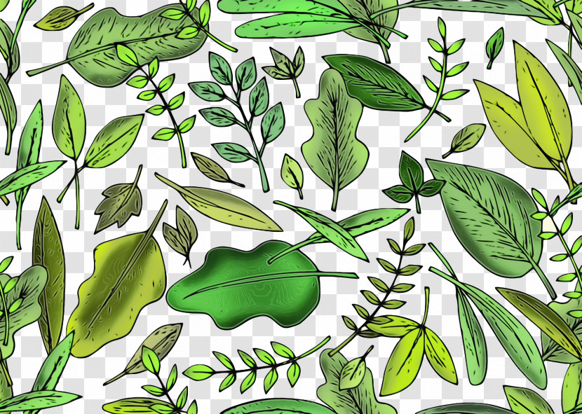 Leaf Plant Stem Vegetable Herbal Medicine Herb Transparent PNG