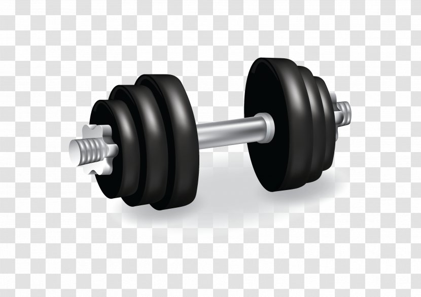 Exercise Equipment Sporting Goods - Weight Training - Barbell Transparent PNG