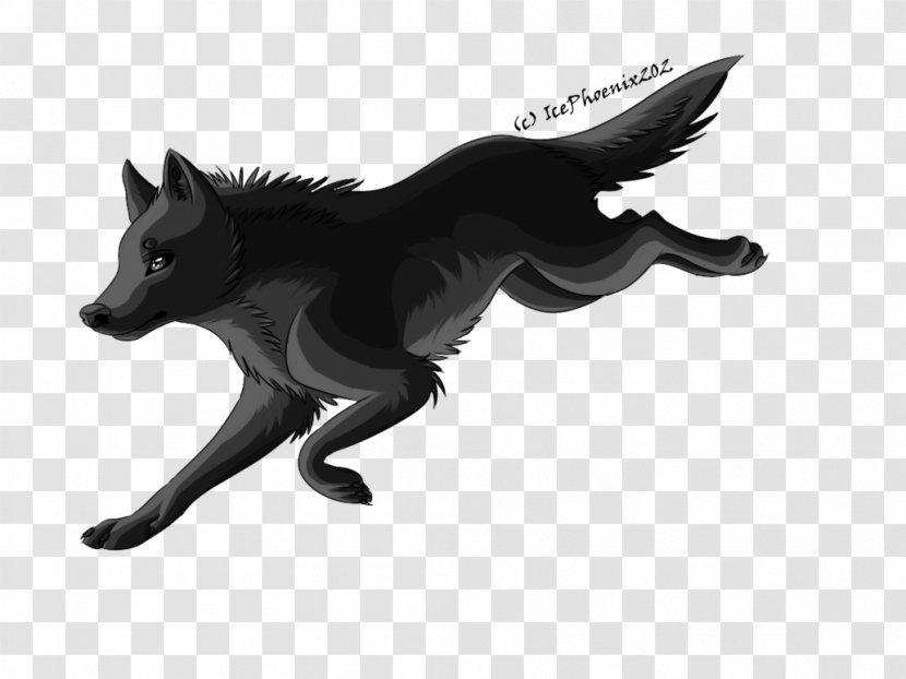 Dog Black Wolf Red Fox Canidae - Gray Transparent PNG