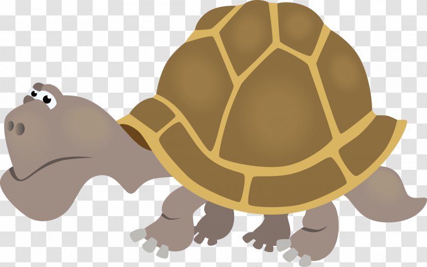 Turtle Txe9cnicas De Autocontrol Emocional Emotion Self-control Technique - Social Skills - Cartoon Vector Transparent PNG