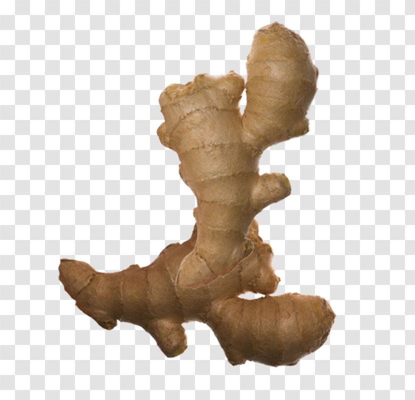 Ginger Root Vegetables Spice - Looks Strange Transparent PNG