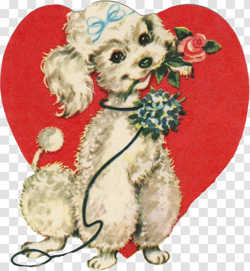 Standard Poodle Pug Dog Biscuit - Flower - Happy Valentines Day Transparent PNG