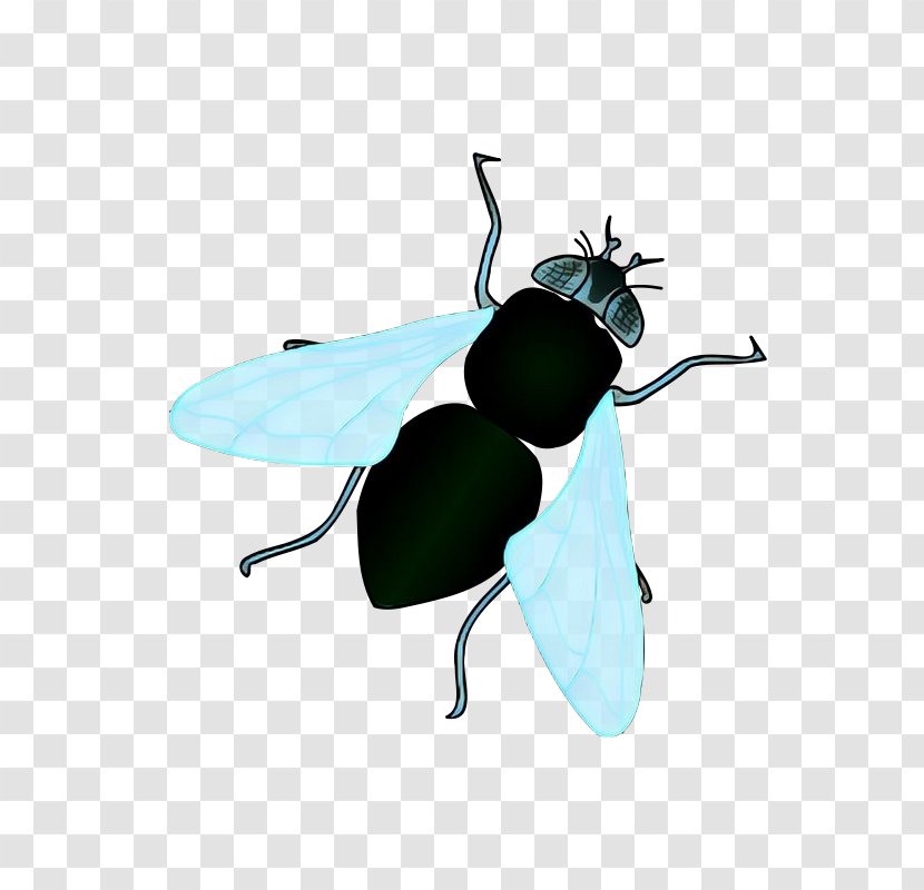 Bee Cartoon - Pest - Wing Black Fly Transparent PNG