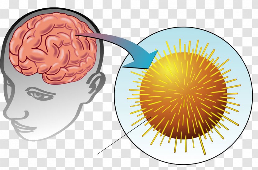 Inflammation Encephalitis Brain Infection Virus - Heart - Depicts Transparent PNG