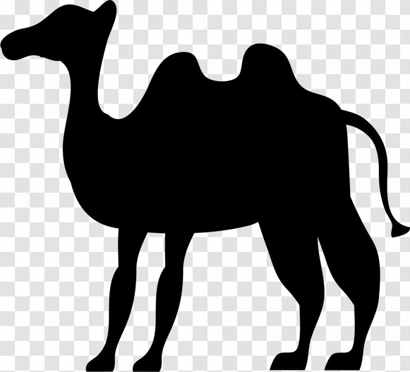 Camel Eid Al-Adha Clip Art - Like Mammal - Black Transparent PNG