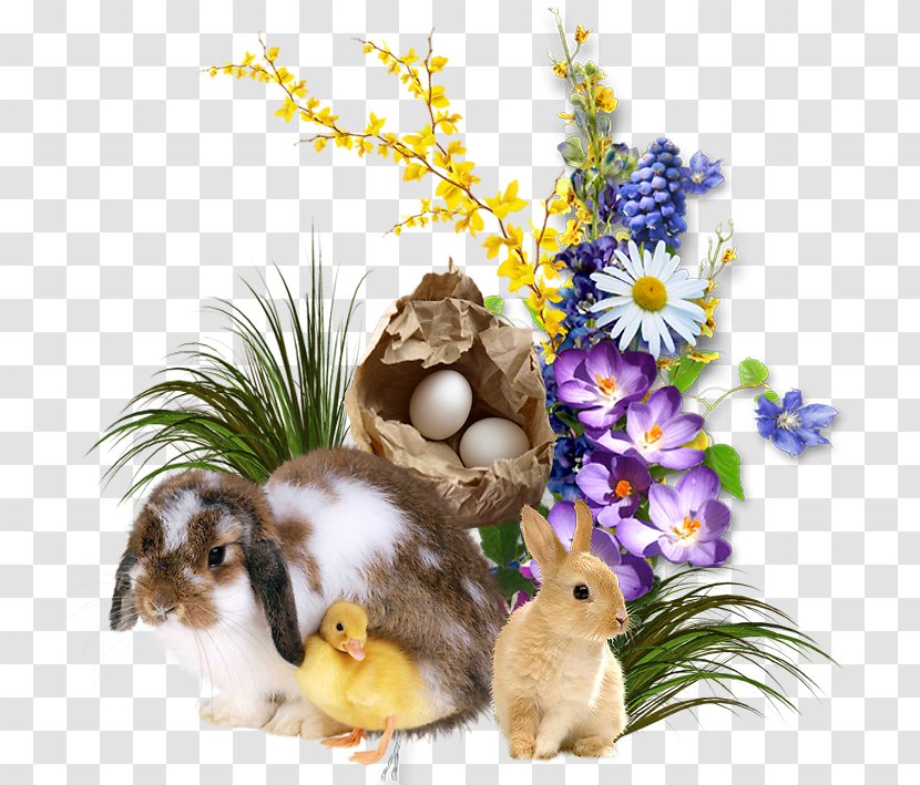 Easter Bunny Resurrection Of Jesus Holiday - Flower Transparent PNG