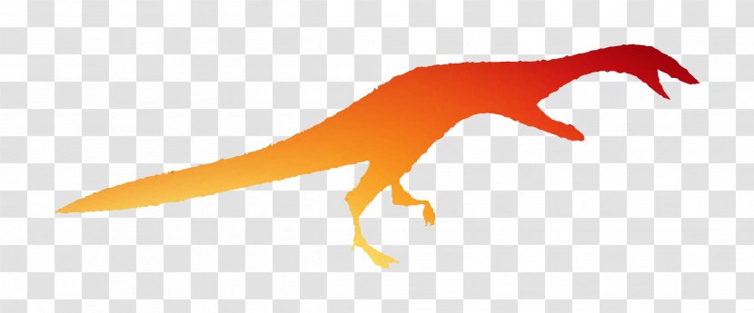 Dinosaur Clip Art Beak - Claw Transparent PNG