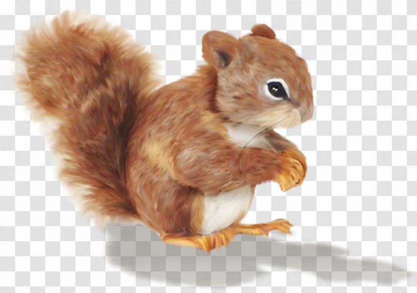 Chipmunk Squirrel Cartoon Clip Art - Fox - Animal Transparent PNG