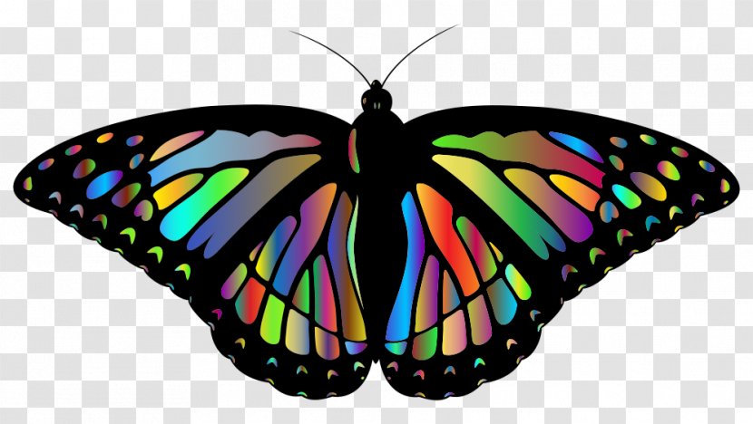Butterfly Winter Rae Clip Art Image - Arthropod - Rainbow Fairy Wings Pattern Transparent PNG
