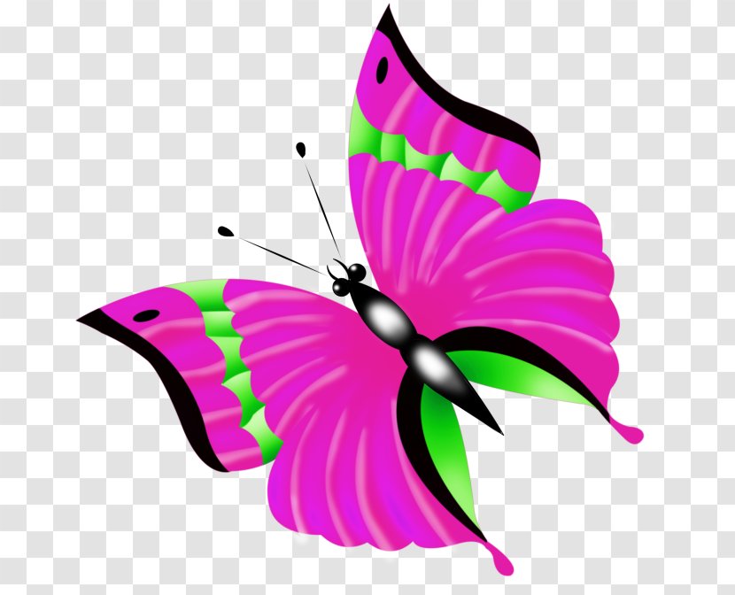 Butterfly Clip Art - Flower Transparent PNG