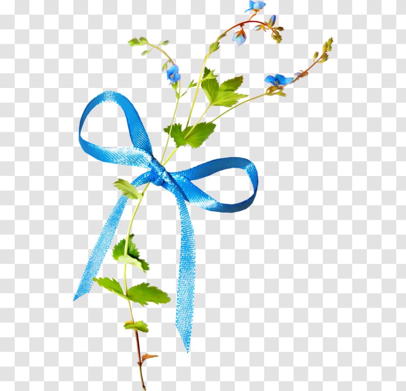 Blue Ribbon Color - Cut Flowers Transparent PNG