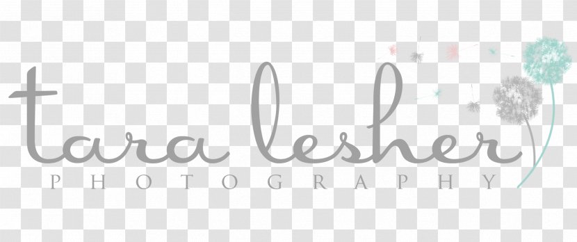 Logo Brand Line Angle Font - Rectangle - Younger Sister Transparent PNG