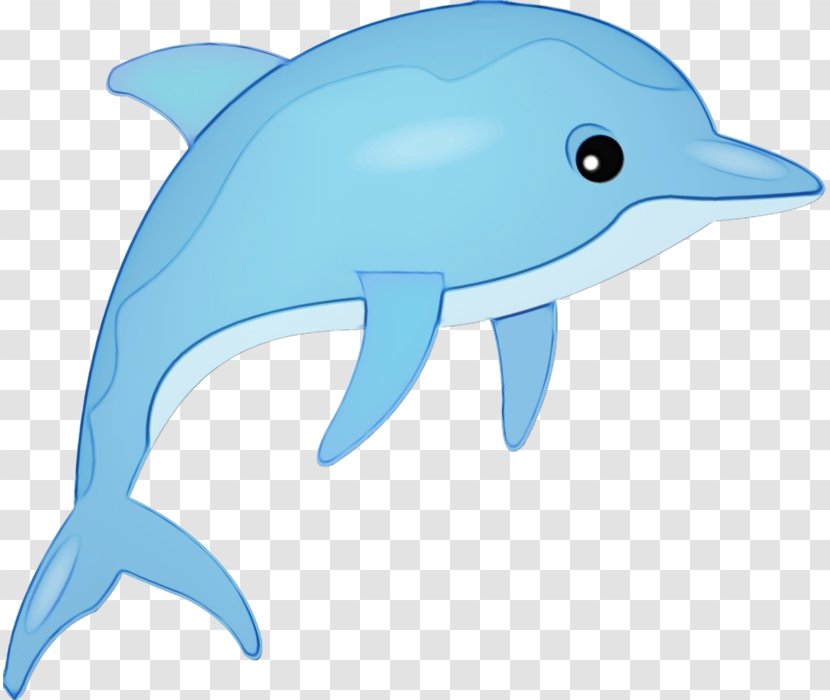 Dolphin Image Cartoon Clip Art - Common Bottlenose - Cetaceans Transparent PNG