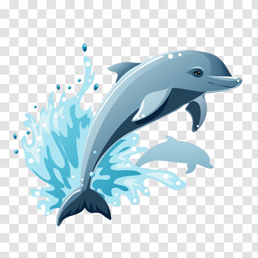 Dolphin Cartoon Drawing Clip Art - Whale Transparent PNG