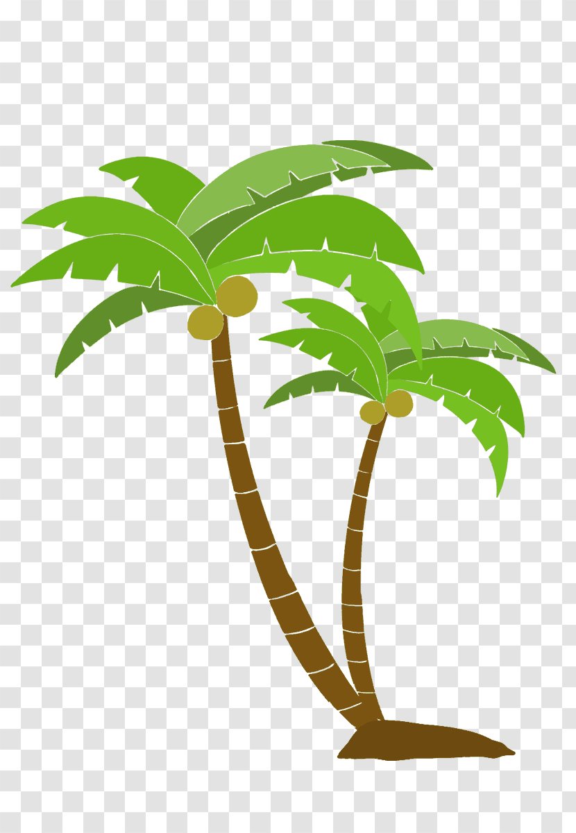 Arecaceae Tree Woody Plant - Coconut Vector Transparent PNG