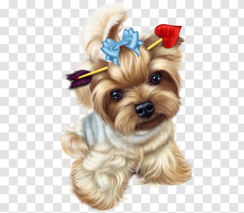 Yorkshire Terrier Puppy Pomeranian Pug - Dog Transparent PNG