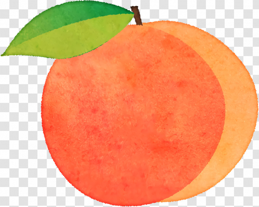 Grapefruit Peach Apple Apple Transparent PNG