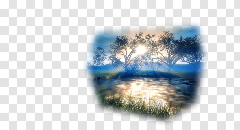 Desktop Wallpaper UXGA - Nature - Tree Transparent PNG
