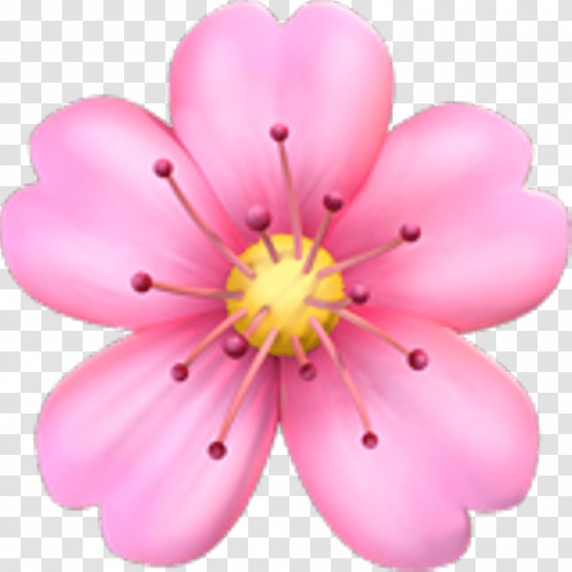 Emoji Pink Flowers Cherry Blossom Sticker - Floral Design Transparent PNG