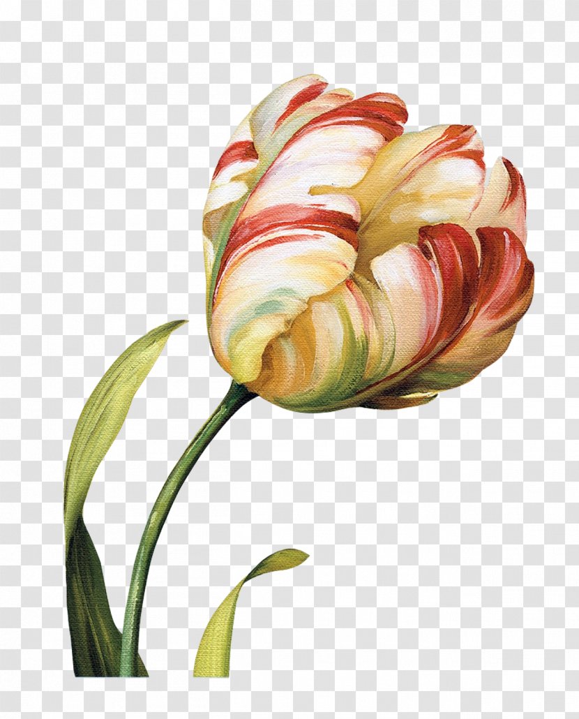 Painting Canvas Print Art Printing - Tulip - Audit Transparent PNG