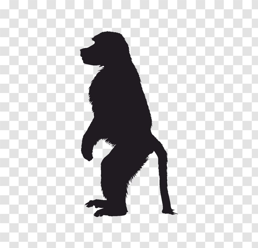 Primate Ape Mandrill Image Monkey - Old World Monkeys Transparent PNG