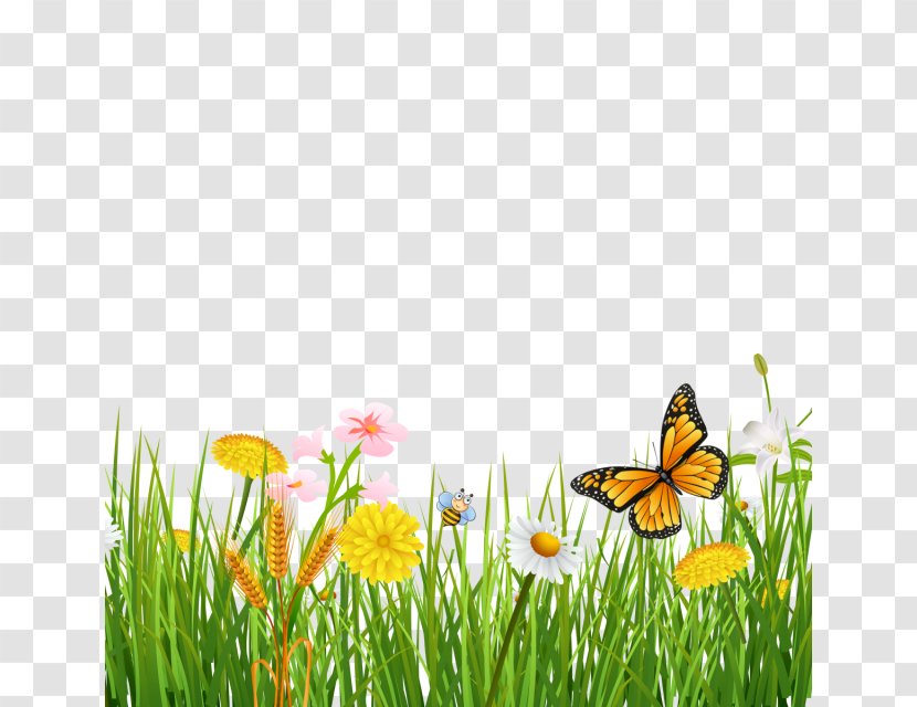 Monarch Butterfly Desktop Wallpaper Clip Art - Grass Transparent PNG