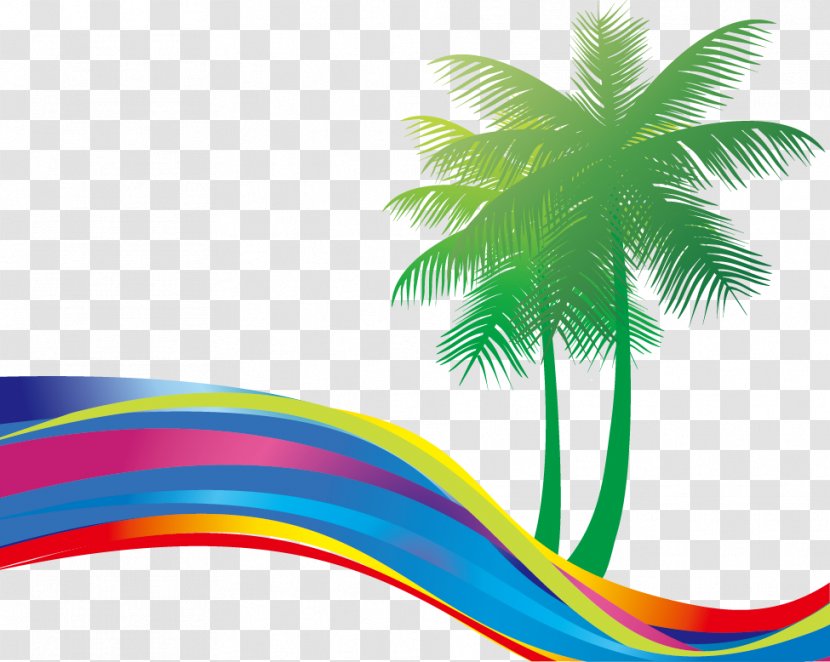 Summer Beach - Tree - Great Fresh Coconut Colorful Curve Transparent PNG