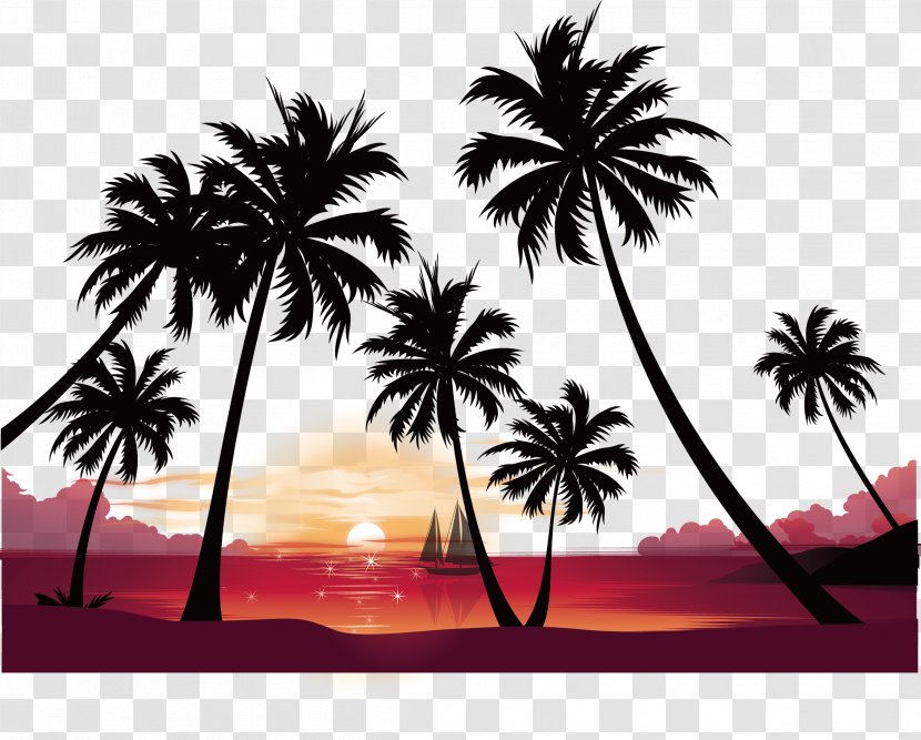 Sunset High-definition Video Image Resolution Wallpaper - Seaside Resort - Coconut Tree Vector Transparent PNG