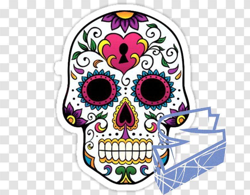 Calavera Day Of The Dead Skull Mexican Cuisine Mexico - Coloring Book Transparent PNG