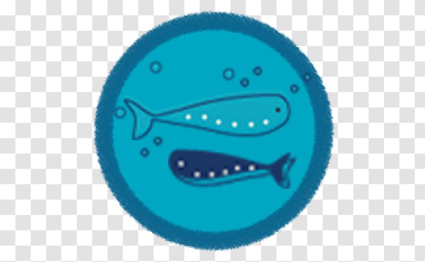 Fish Marine Mammal Font Turquoise - Aqua Transparent PNG