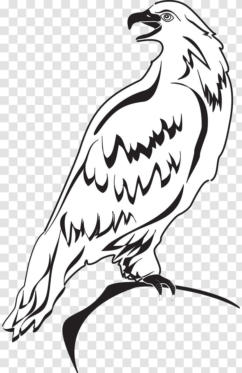 Bald Eagle Clip Art Image - Comb Transparent PNG