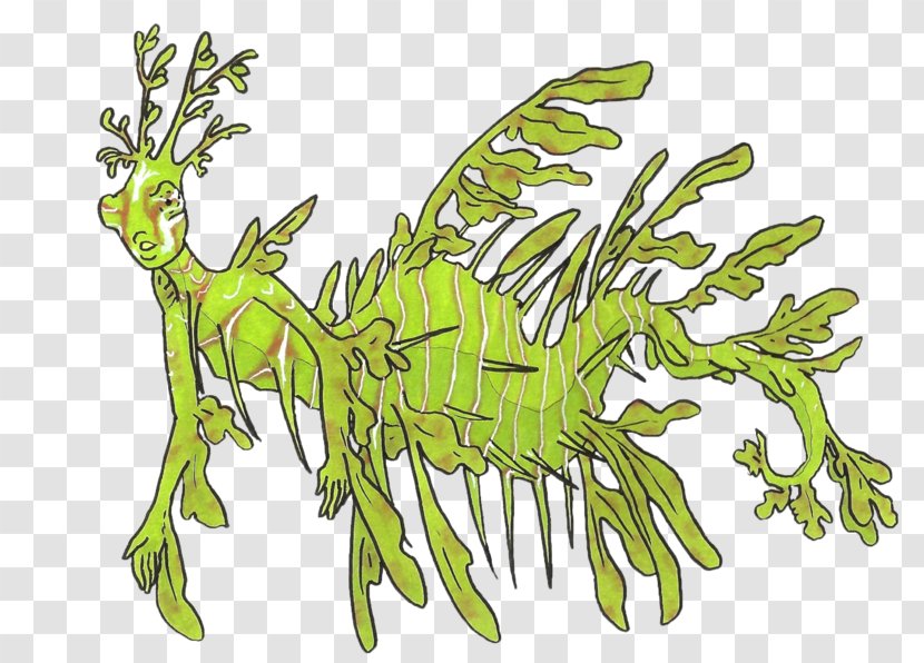 Syngnathidae Seahorse Leafy Seadragon Common Vertebrate - Deviantart Transparent PNG