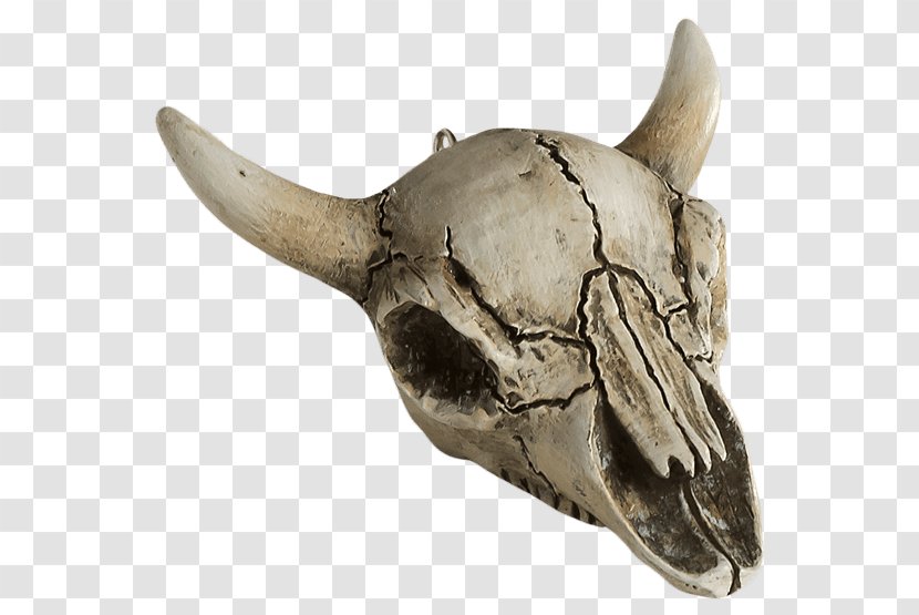 Skull Cattle Ornament The Halloween Tree Horror - Crystal Transparent PNG