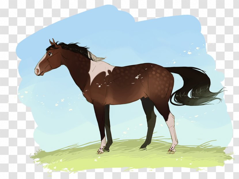 Foal Stallion Mare Mustang Colt - Belfry Transparent PNG