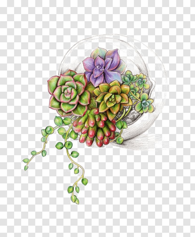 Succulent Plant Image Watercolor Painting Illustration - Plants - Bonsai Ornament Transparent PNG