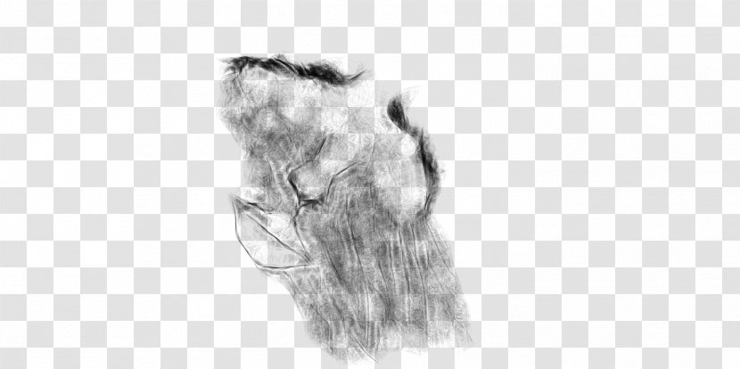 Ear Drawing Canidae Line Art Sketch - Heart Transparent PNG