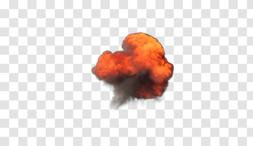 Explosive Material Organism Explosion Transparent PNG