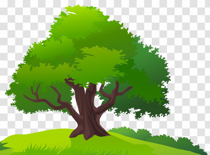 Tree Lawn Clip Art - Woody Plant - And Grass Clipart Image Transparent PNG